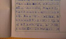 三年级暑假练笔作文