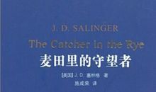麦田里的守望者读后感3000字