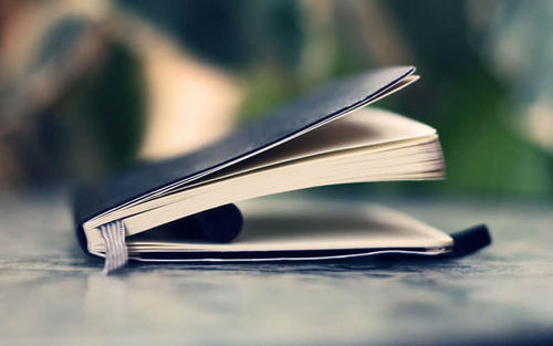 关于海豚湾纪录片的思考