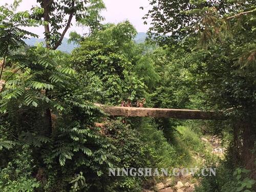 看完麦子的How叫