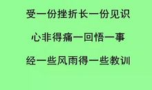 吃一堑长一智作文100字
