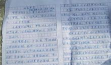 三年级作文我的梦想