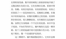 校园一角作文开头