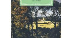 麦田里的守望者读后感600字