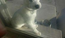 吃一堑长一智作文