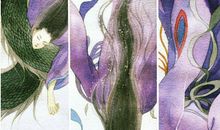 《浮生物语》读后感