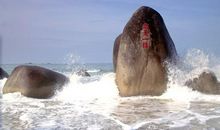 开讲啦唐长红演讲稿：为了鲲鹏展翅那一刻