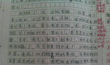 三年级暑假乐趣作文