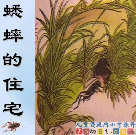 关于板球馆的思考