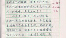 我最喜欢的老师100字作文