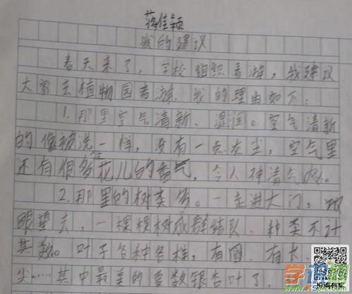 春季郊游的组成