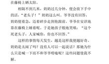 亲情无价作文800字