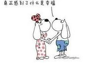 哄女人开心的话