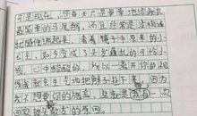 我的妹妹作文250字