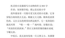 写小猫的作文600字