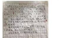 妈妈的眼神作文