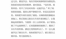 一件开心的事作文450字