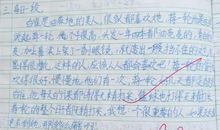 小学生读后感150字