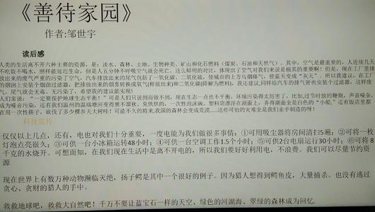 善待您的工作