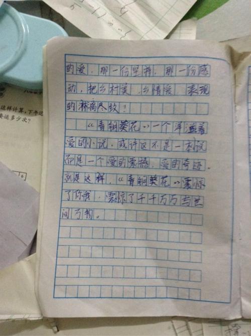 介绍自己的作文500字