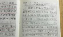 一节体育课作文