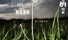 丛林守护神读后感