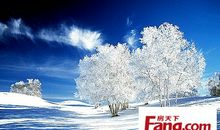 今冬的第一场雪作文