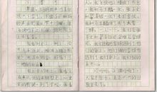 下雪了作文100字