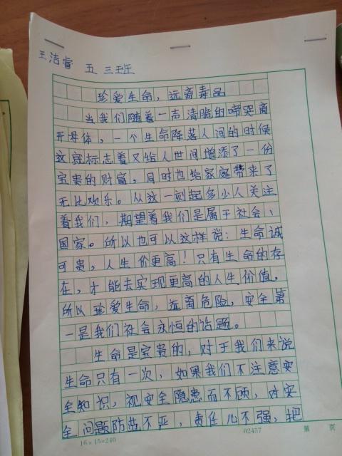 三年级元旦作文