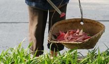 街头的清洁工作文