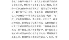 苏北少年堂吉诃德读后感600字