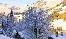 冬天的雪花作文