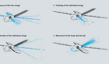 蜻蜓蜻蜓读后感