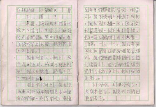 关于第一场雪的组成