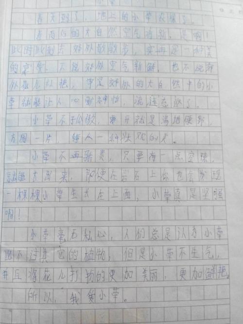 写小草的作文