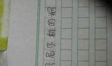 假如我有一匹马作文600字