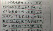 三年级写迎春花的作文