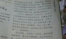 四季的雨作文800字