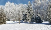 冬天的雪景作文600