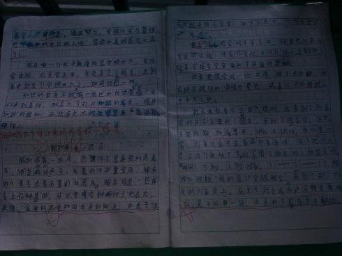 如果我有一匹马写500个字