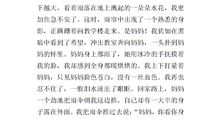 我自己作文300字