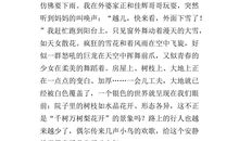 关于雪的作文800字