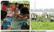 我的中国梦演讲稿1000字