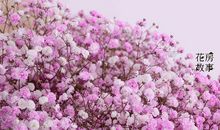 抬头看满天星，却挂念某一道彩虹