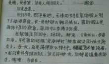 亲情作文600字初中