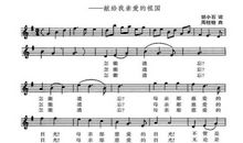 母亲的目光作文