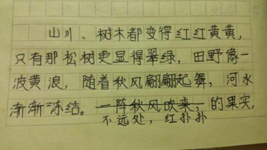 秋天在这里200字