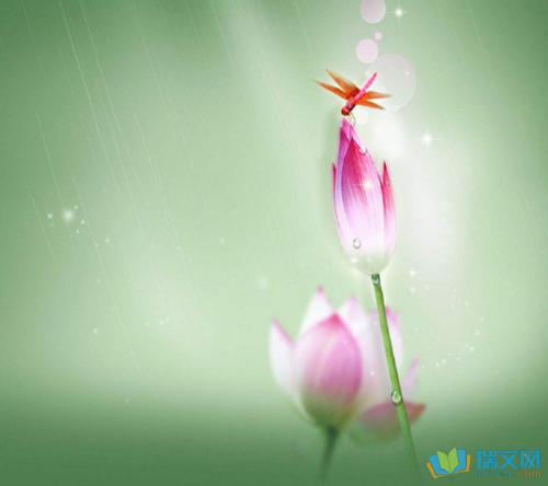 我眼中的春天600字