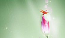 我眼中的春天600字