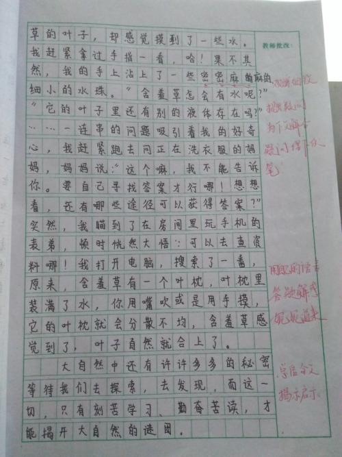 含羞草的秘密成分